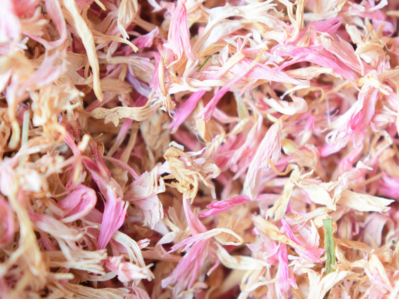 Dehydrated Pink Onion